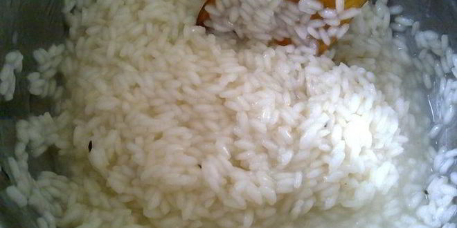 Рецепт ризотто с мидиямей и креветками