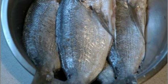 Рецепт дорадо запеченая со сметаной