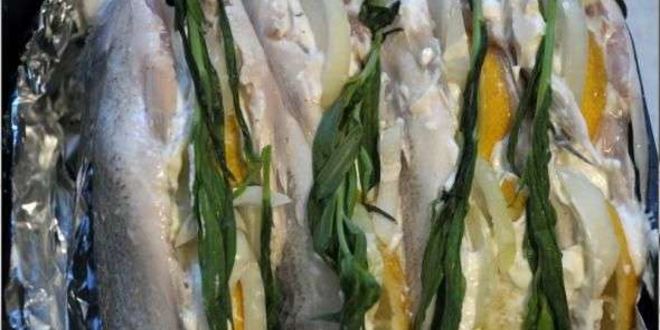 Рецепт дорадо запеченая со сметаной