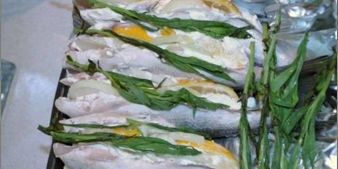 Рецепт дорадо запеченая со сметаной