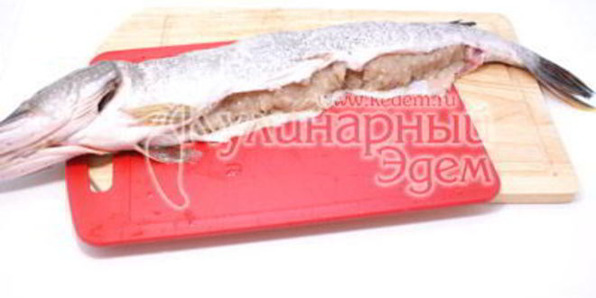 Рецепт фаршированная щука