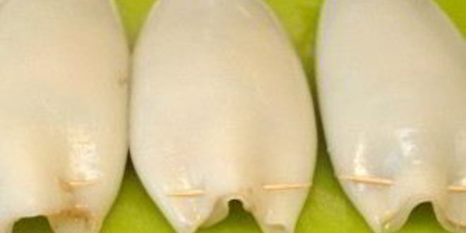 Рецепт кальмары, фаршированные курицей и грибами