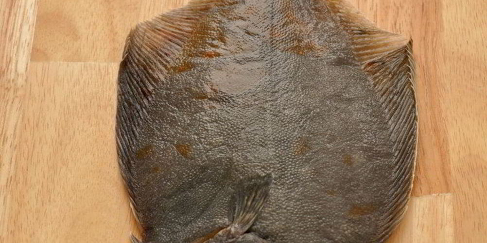 Как приготовить разделанная камбала