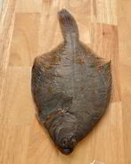 Разделанная камбала