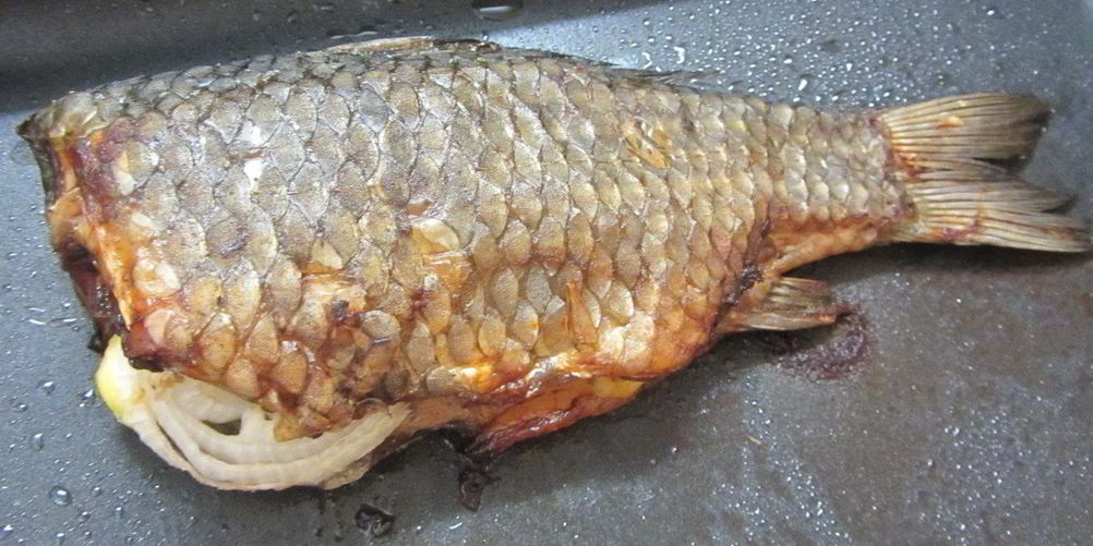 Как приготовить речной окунь в духовке без чистки чешуи