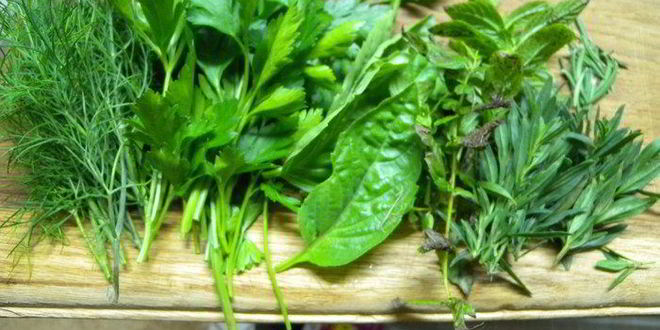 Рецепт угорь со сливочным соусом, тушенный в апельсиновом соке с травами и калиной