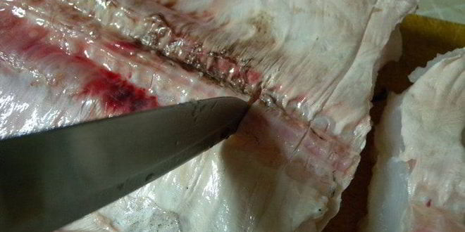 Рецепт угорь со сливочным соусом, тушенный в апельсиновом соке с травами и калиной