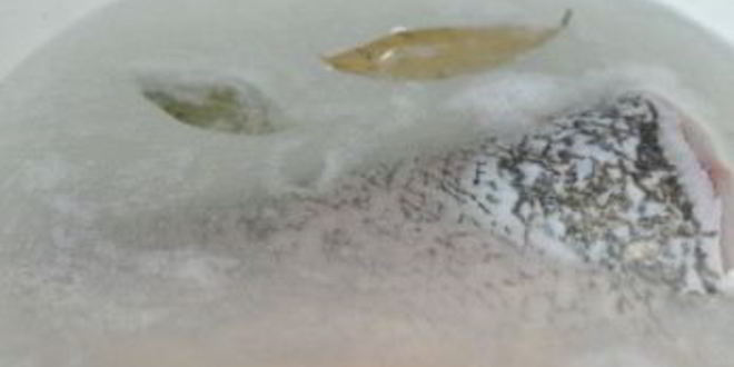 Рецепт заливная рыба с желатином