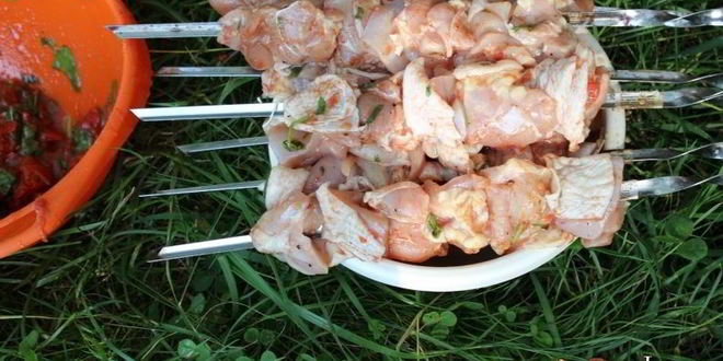 Рецепт куриный шашлык в томатах и пряной зелени