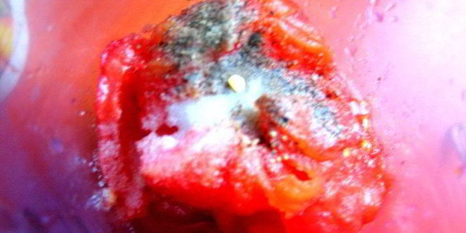 Рецепт шашлычки из крылышек и томатный соус