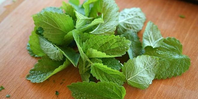 Рецепт шашлык из говядины с салом