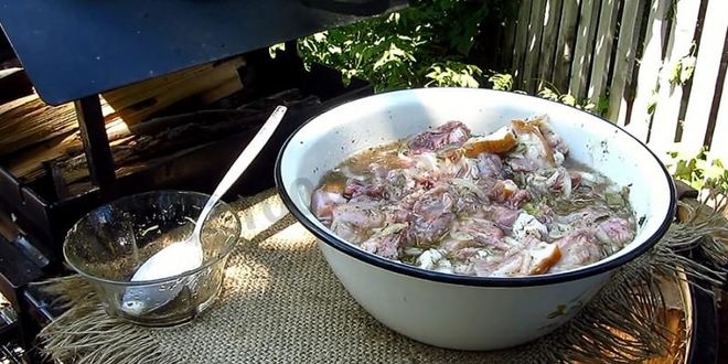 Рецепт шашлыка иза кролики с салома