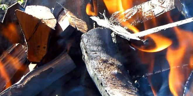 Рецепт шашлык из свиного сердца