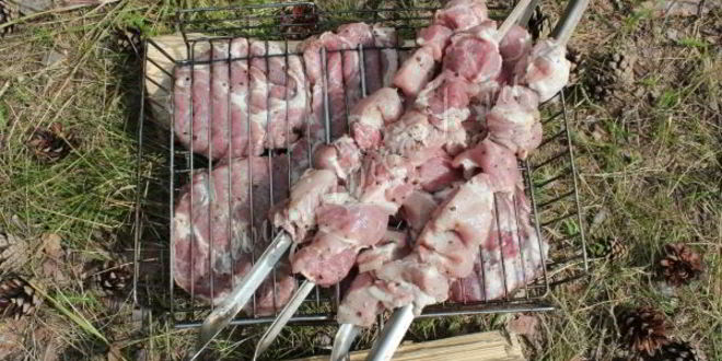 Рецепт шашлык из свиной шейки с луком