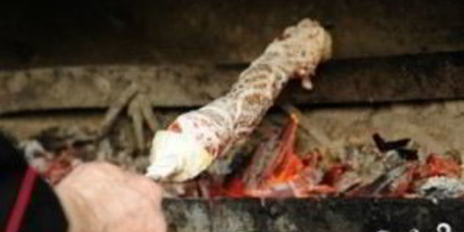 Рецепт шашлыка по-карсок