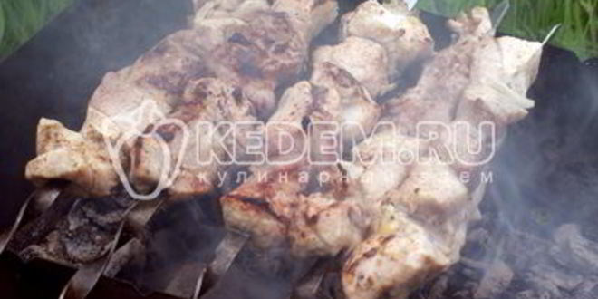 Рецепт шашлык с киви