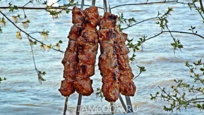 Рецепт Шашлык в томатном соке