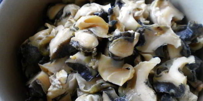 Рецепт шашлыки из рапана