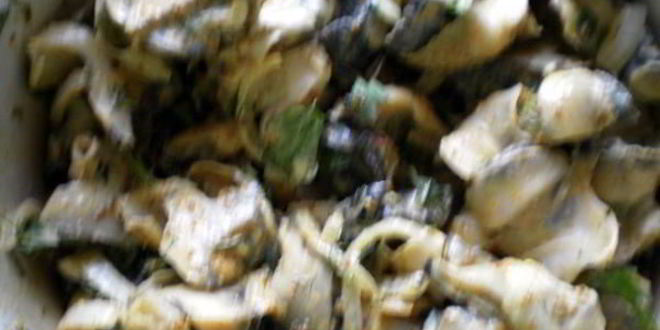 Рецепт шашлыки из рапана