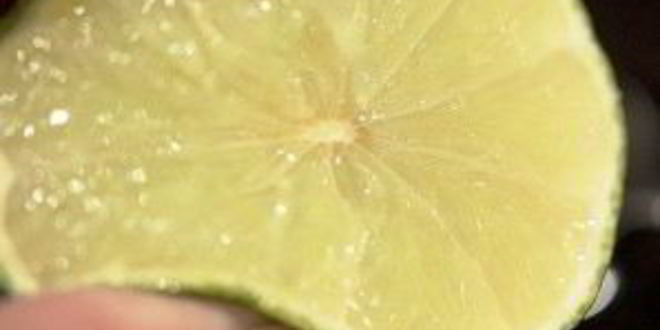 Рецепт экзотический шашлык