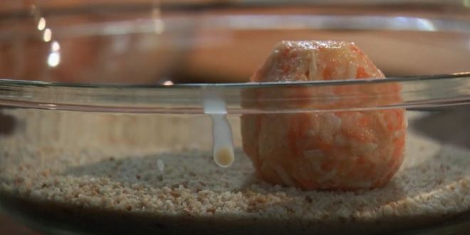 Рецепт тефтели из сельдерея с овощным соусом