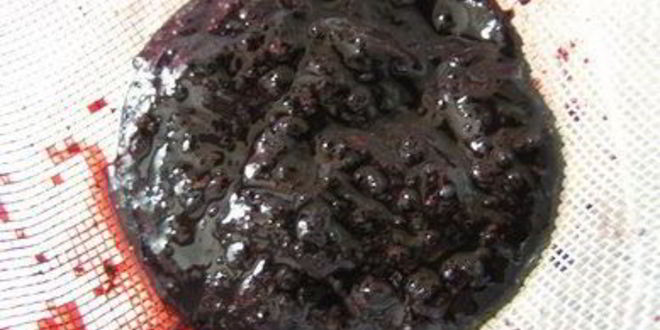 Рецепт вареники с черникой и соусом под шафе