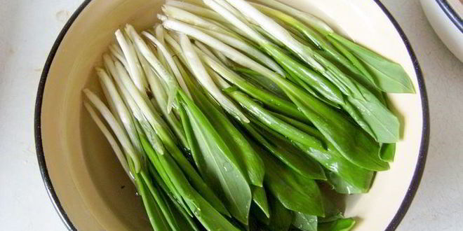 Рецепт вареники с творогом и черемшой