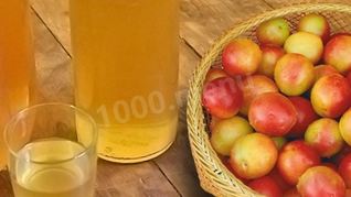 Рецепт Домашнее вино из алычи