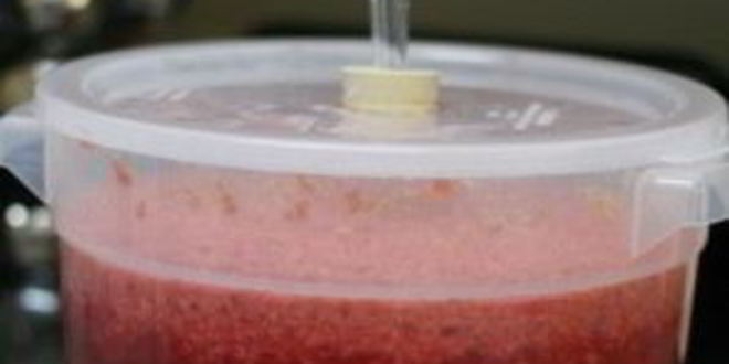 Рецепт домашнее вино из малины