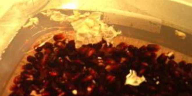 Рецепт гранатового сиропа