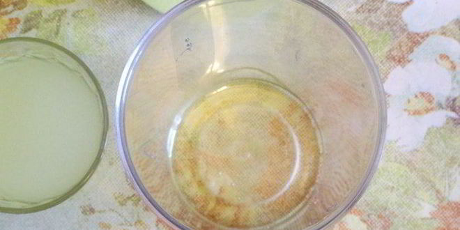 Рецепт коктейль из сыворотки с медом