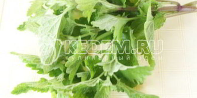 Рецепт домашний лимонад