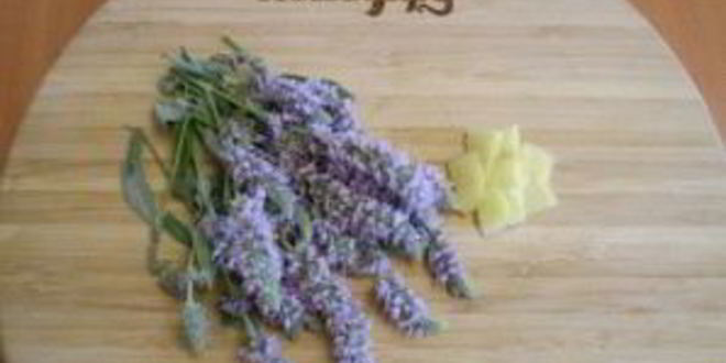 Рецепт медовый напиток с мелиссой