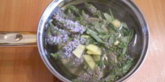 Рецепт медовый напиток с мелиссой