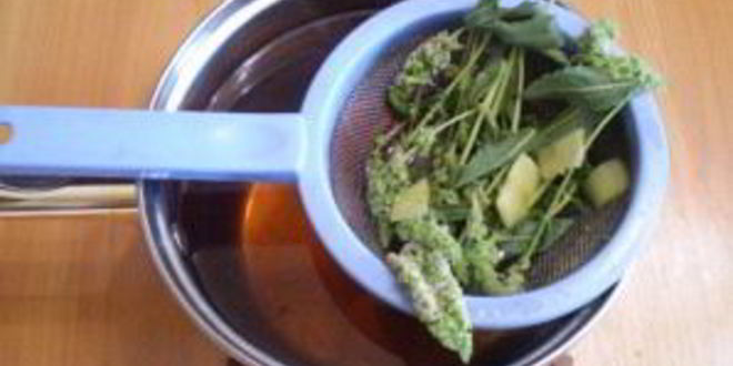 Рецепт медовый напиток с мелиссой