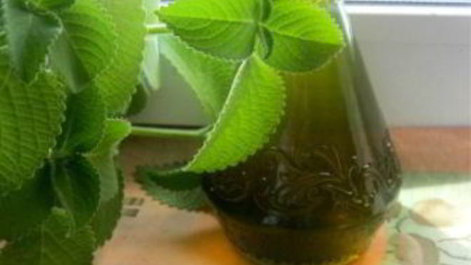 Рецепт Мятный сироп