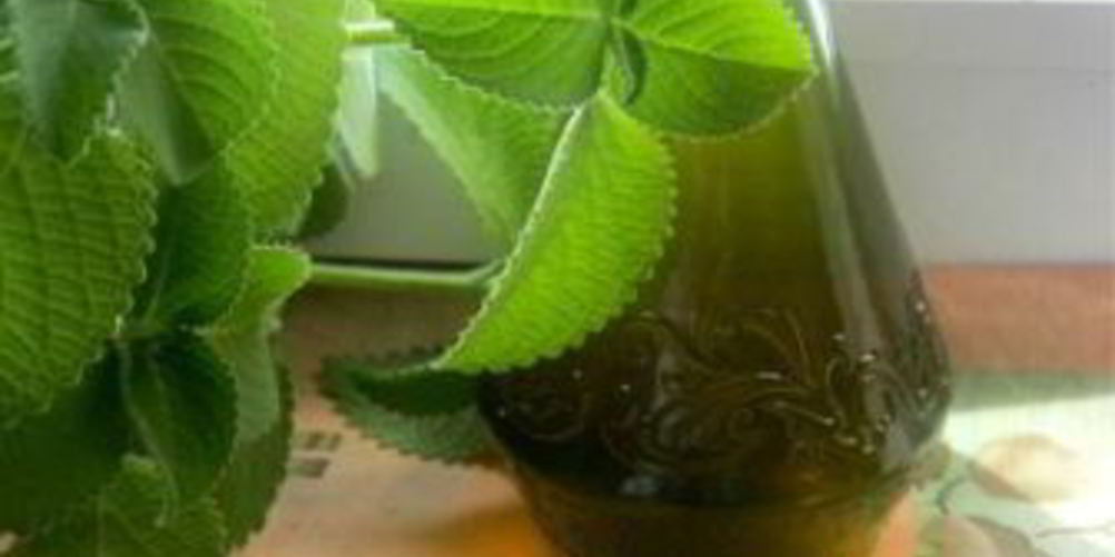 Как приготовить мятный сироп