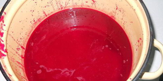 Рецепт напиток и сок из калины