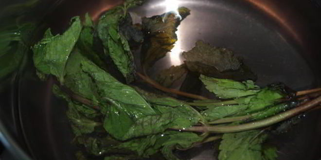 Рецепт напиток из калины с мятой и медом