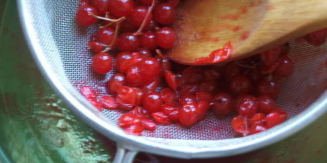 Рецепт напиток из калины с мятой и медом