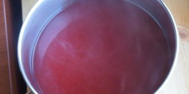 Рецепт напиток из калины с мятой и медом