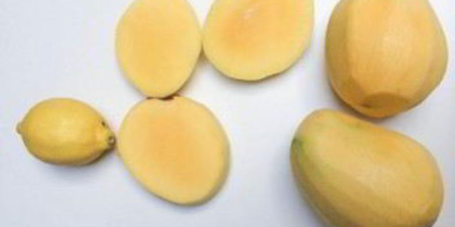 Рецепт напиток из манго