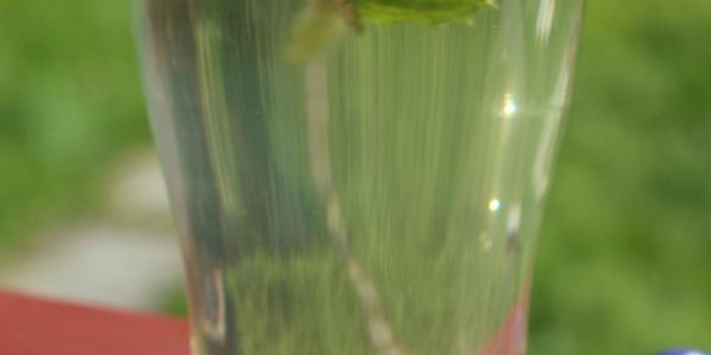 Как приготовить напиток из ревеня с розмарином