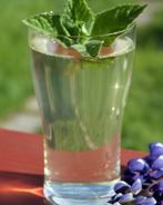 Напиток из ревеня с розмарином