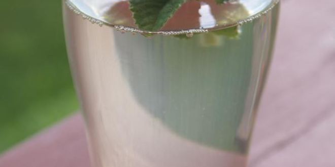 Рецепт напиток из ревеня с розмарином