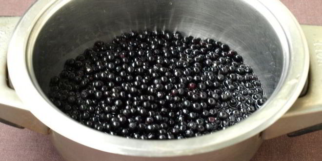 Рецепт сироп из черной бузины