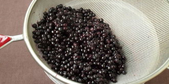 Рецепт сироп из черной бузины