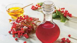 Рецепт Сироп из калины с медом