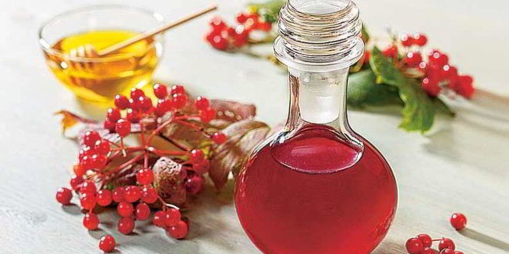 Как приготовить сироп из калины с медом