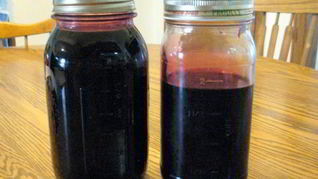 Рецепт Сироп шелковицы